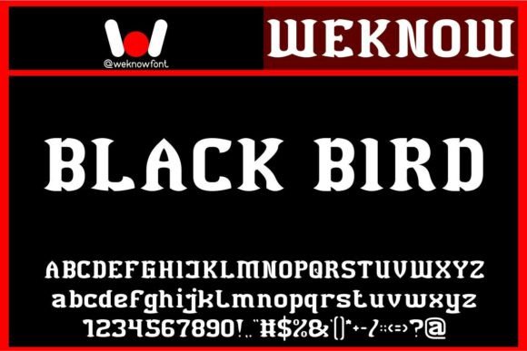 Black Bird Font: A Modern Gothic Review