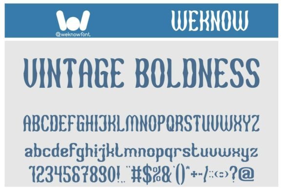 Vintage Boldness: A Retro Serif Font for Editors